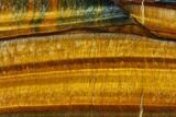 Polished Tiger's Eye Section - South Africa #128443-1